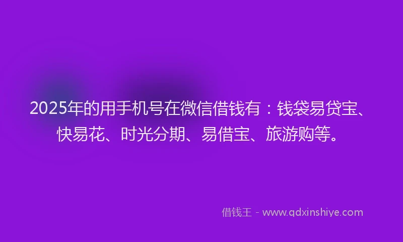 2025年的用手机号在微信借钱有：钱袋易贷宝、快易花、时光分期、易借宝、旅游购等。