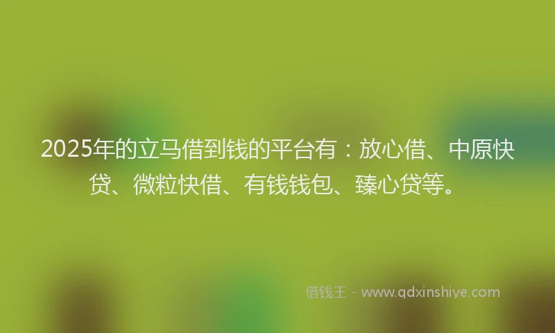 2025年的立马借到钱的平台有：放心借、中原快贷、微粒快借、有钱钱包、臻心贷等。