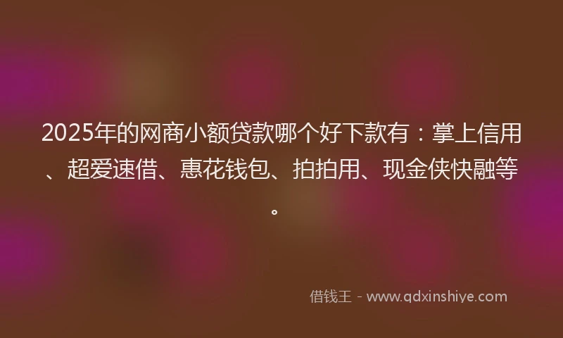 2025年的网商小额贷款哪个好下款有：掌上信用、超爱速借、惠花钱包、拍拍用、现金侠快融等。