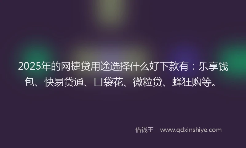 2025年的网捷贷用途选择什么好下款有：乐享钱包、快易贷通、口袋花、微粒贷、蜂狂购等。