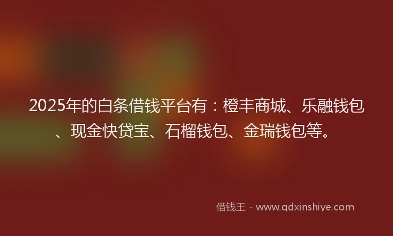 2025年的白条借钱平台有：橙丰商城、乐融钱包、现金快贷宝、石榴钱包、金瑞钱包等。