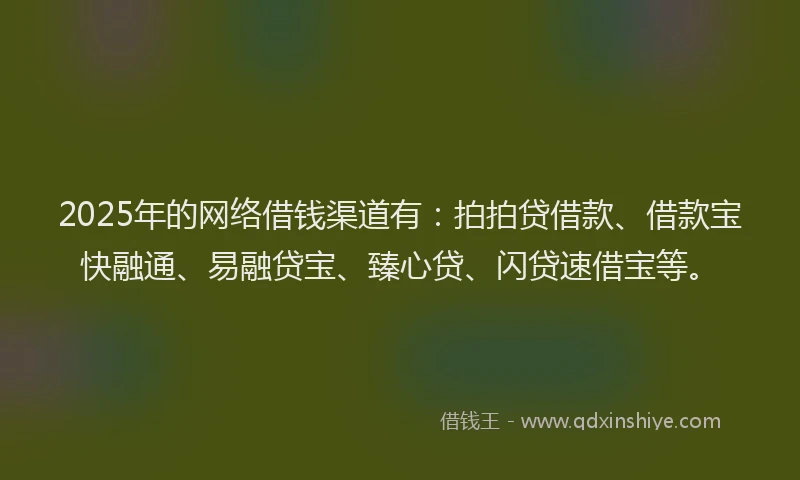 2025年的网络借钱渠道有：拍拍贷借款、借款宝快融通、易融贷宝、臻心贷、闪贷速借宝等。
