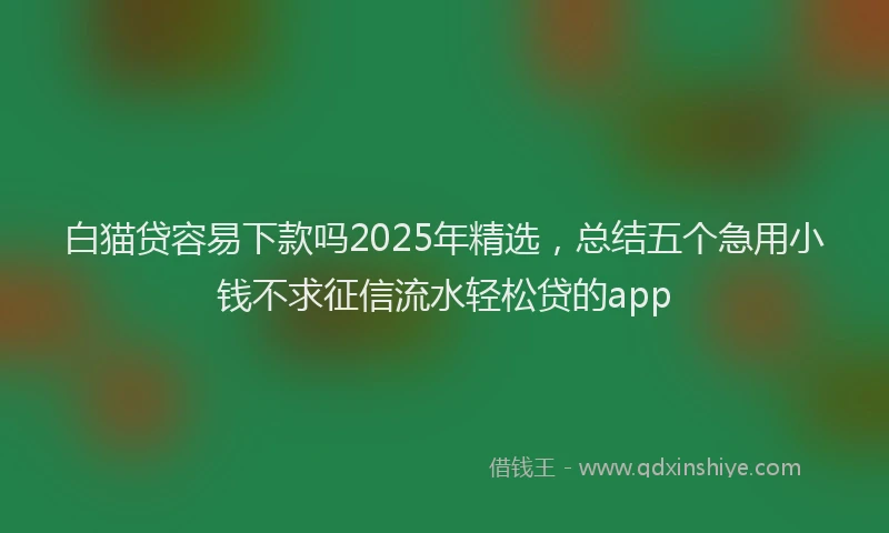 白猫贷容易下款吗2025年精选，总结五个急用小钱不求征信流水轻松贷的app