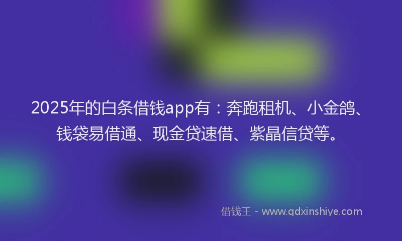 2025年的白条借钱app有：奔跑租机、小金鸽、钱袋易借通、现金贷速借、紫晶信贷等。
