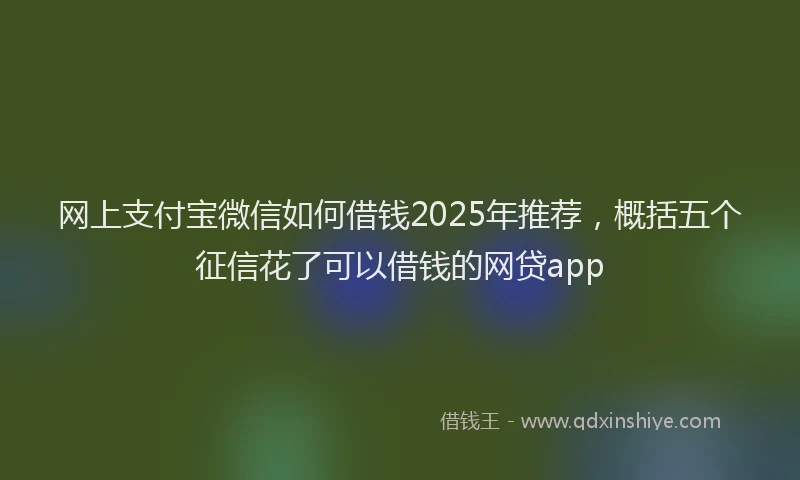 网上支付宝微信如何借钱2025年推荐，概括五个征信花了可以借钱的网贷app