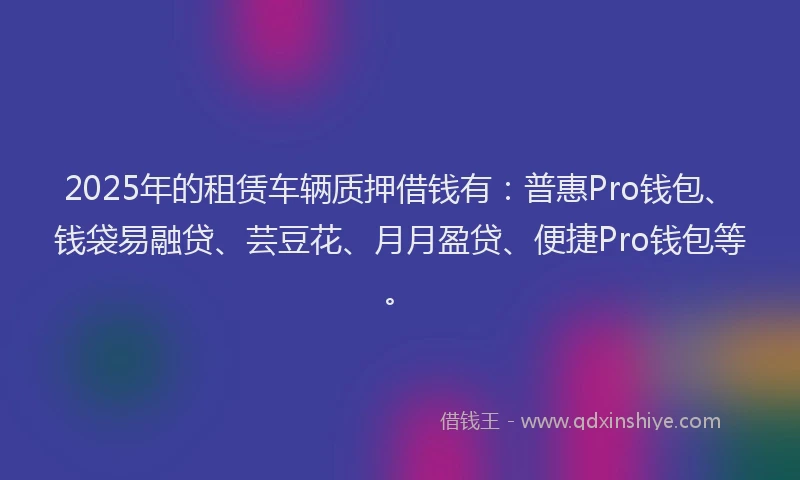 2025年的租赁车辆质押借钱有：普惠Pro钱包、钱袋易融贷、芸豆花、月月盈贷、便捷Pro钱包等。