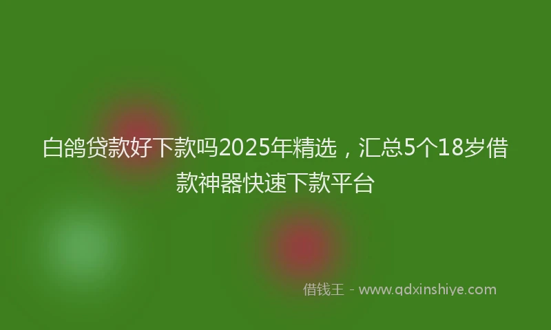 白鸽贷款好下款吗2025年精选，汇总5个18岁借款神器快速下款平台