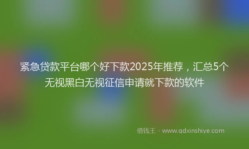 紧急贷款平台哪个好下款2025年推荐，汇总5个无视黑白无视征信申请就下款的软件