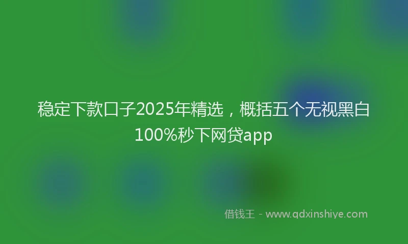 稳定下款口子2025年精选，概括五个无视黑白100%秒下网贷app