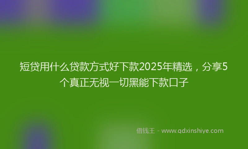 短贷用什么贷款方式好下款2025年精选，分享5个真正无视一切黑能下款口子