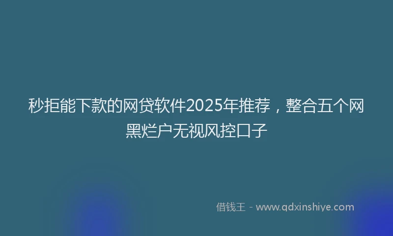 秒拒能下款的网贷软件2025年推荐，整合五个网黑烂户无视风控口子