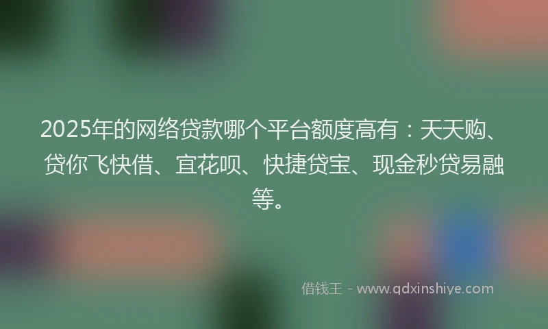 2025年的网络贷款哪个平台额度高有：天天购、贷你飞快借、宜花呗、快捷贷宝、现金秒贷易融等。