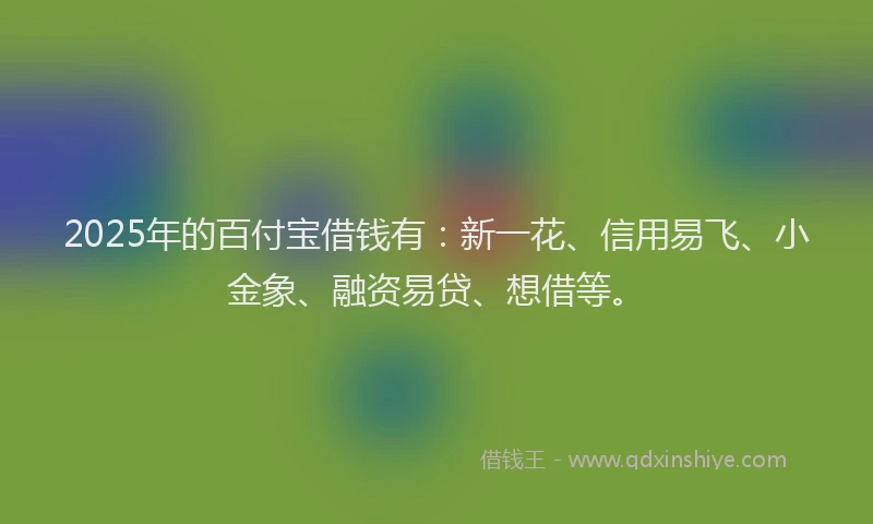 2025年的百付宝借钱有：新一花、信用易飞、小金象、融资易贷、想借等。