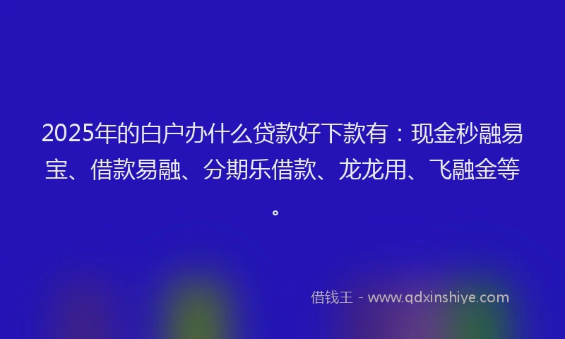 2025年的白户办什么贷款好下款有：现金秒融易宝、借款易融、分期乐借款、龙龙用、飞融金等。