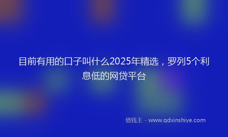 目前有用的口子叫什么2025年精选，罗列5个利息低的网贷平台