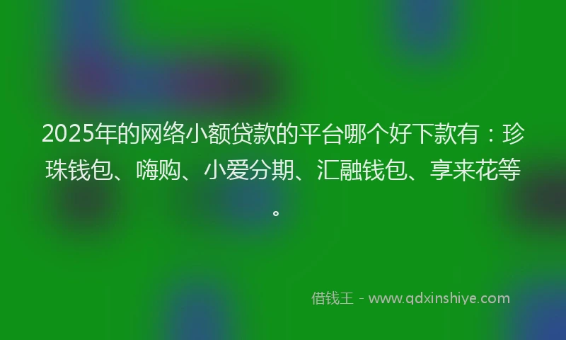 2025年的网络小额贷款的平台哪个好下款有：珍珠钱包、嗨购、小爱分期、汇融钱包、享来花等。