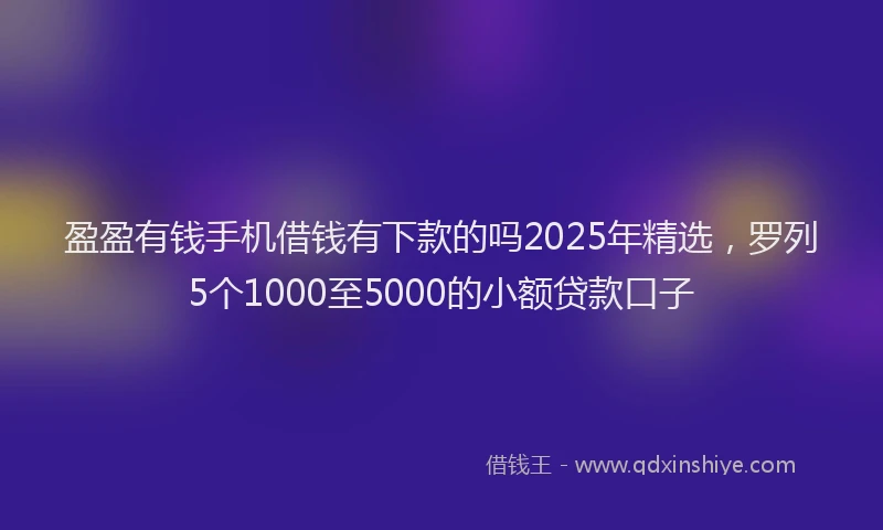 盈盈有钱手机借钱有下款的吗2025年精选，罗列5个1000至5000的小额贷款口子