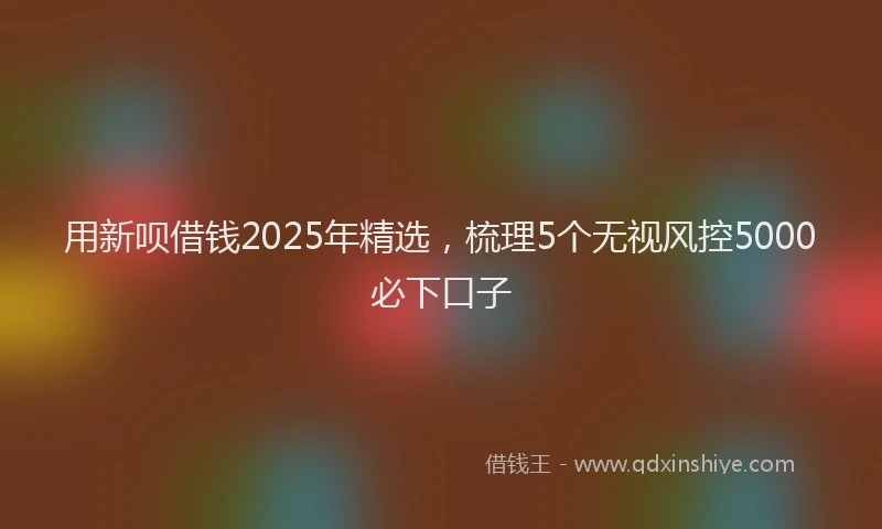用新呗借钱2025年精选，梳理5个无视风控5000必下口子