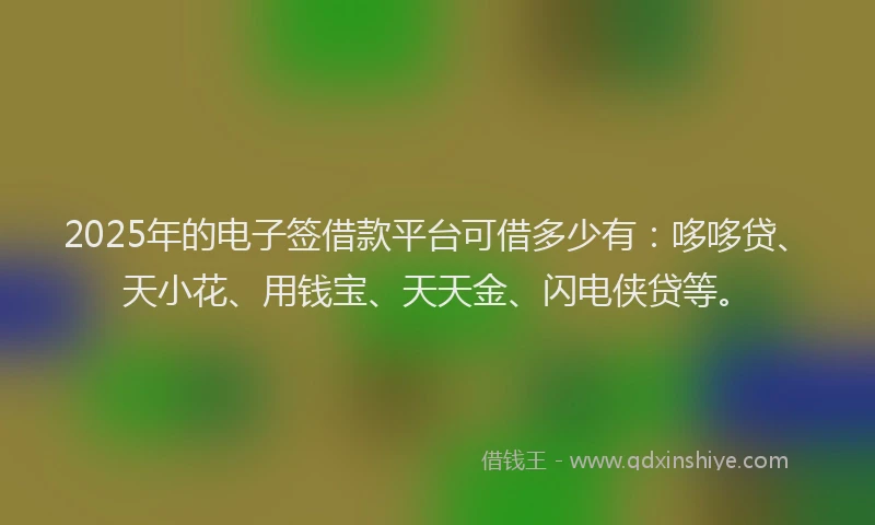 2025年的电子签借款平台可借多少有：哆哆贷、天小花、用钱宝、天天金、闪电侠贷等。