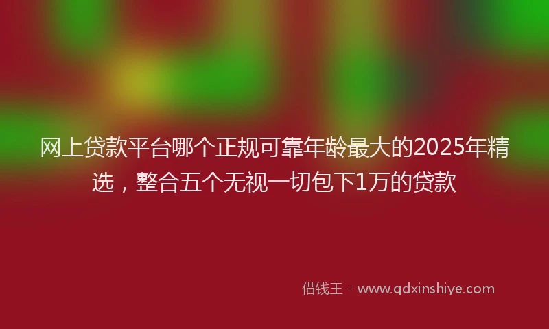 网上贷款平台哪个正规可靠年龄最大的2025年精选，整合五个无视一切包下1万的贷款