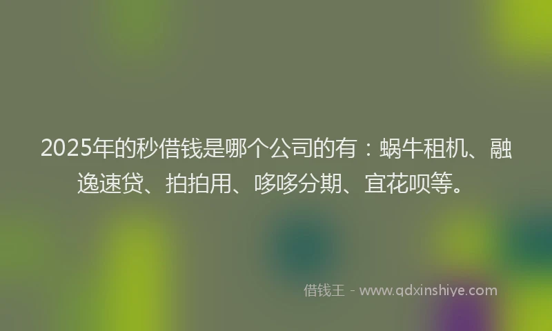2025年的秒借钱是哪个公司的有：蜗牛租机、融逸速贷、拍拍用、哆哆分期、宜花呗等。