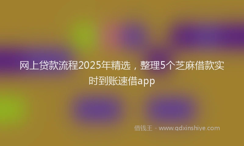 网上贷款流程2025年精选，整理5个芝麻借款实时到账速借app