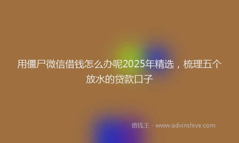 用僵尸微信借钱怎么办呢2025年精选，梳理五个放水的贷款口子