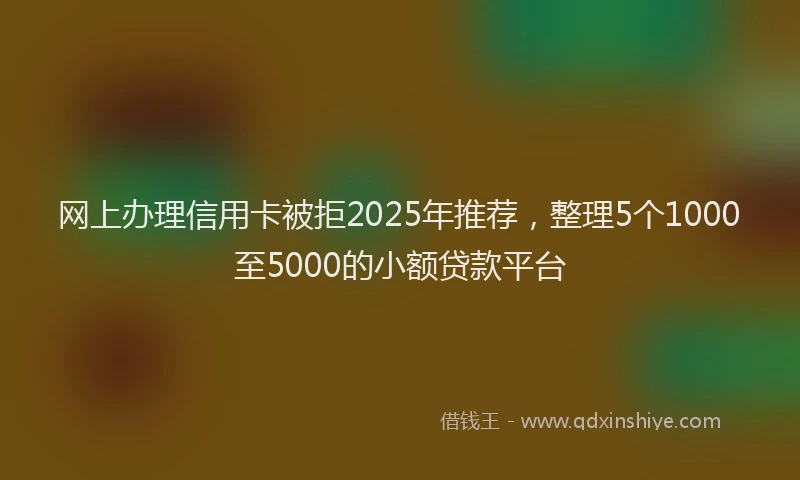 网上办理信用卡被拒2025年推荐，整理5个1000至5000的小额贷款平台