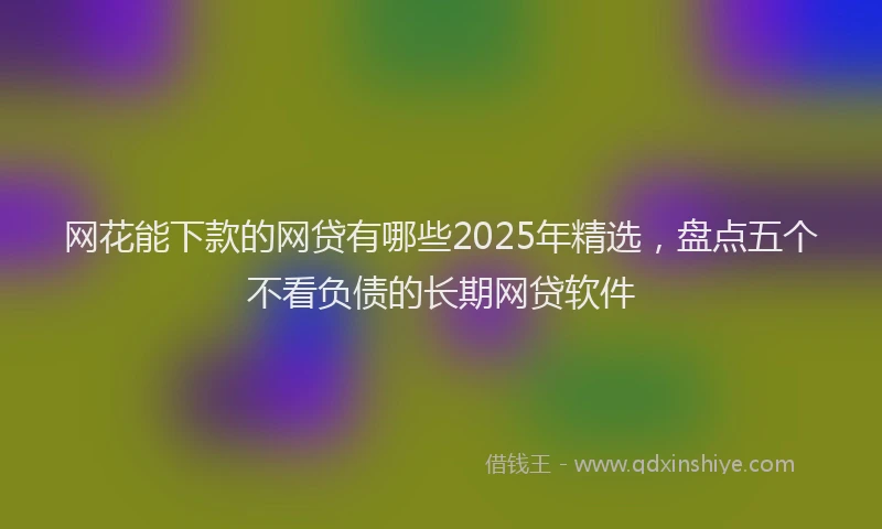 网花能下款的网贷有哪些2025年精选，盘点五个不看负债的长期网贷软件