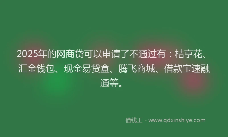 2025年的网商贷可以申请了不通过有：桔享花、汇金钱包、现金易贷盒、腾飞商城、借款宝速融通等。