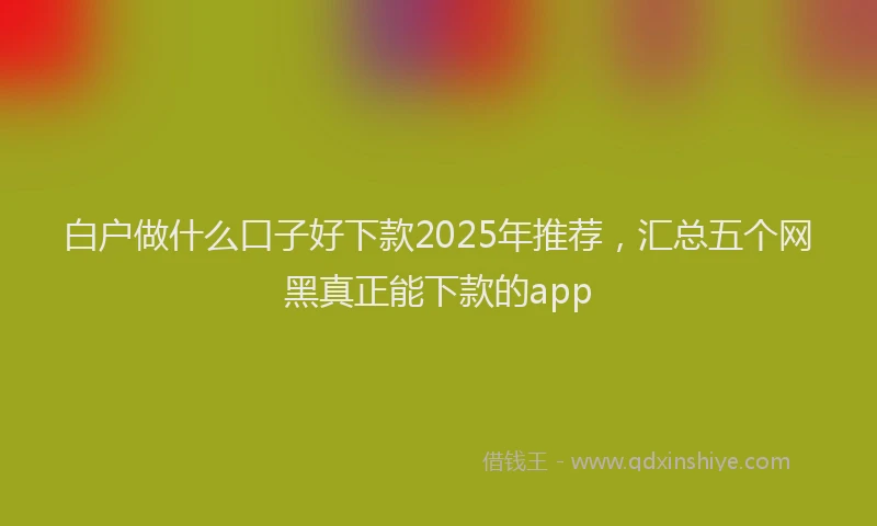 白户做什么口子好下款2025年推荐，汇总五个网黑真正能下款的app