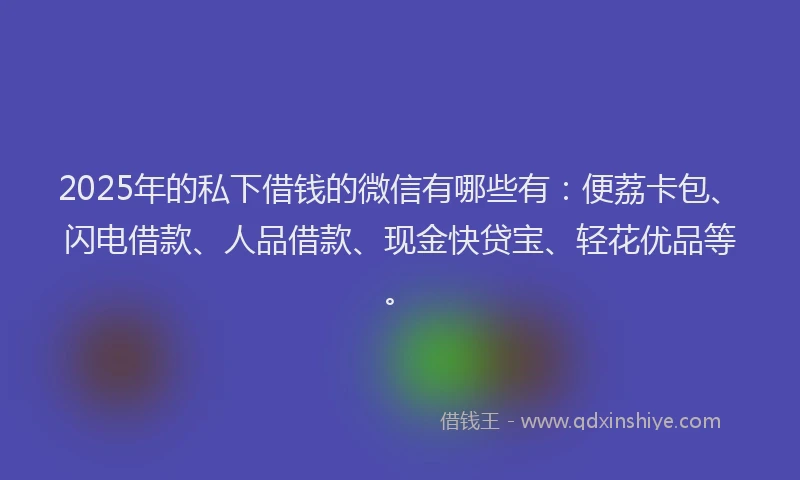 2025年的私下借钱的微信有哪些有：便荔卡包、闪电借款、人品借款、现金快贷宝、轻花优品等。