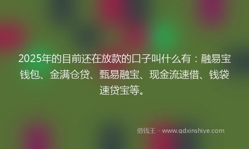 2025年的目前还在放款的口子叫什么有：融易宝钱包、金满仓贷、甄易融宝、现金流速借、钱袋速贷宝等。