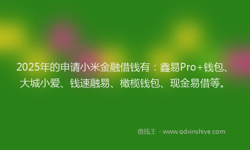2025年的申请小米金融借钱有：鑫易Pro+钱包、大城小爱、钱速融易、橄榄钱包、现金易借等。