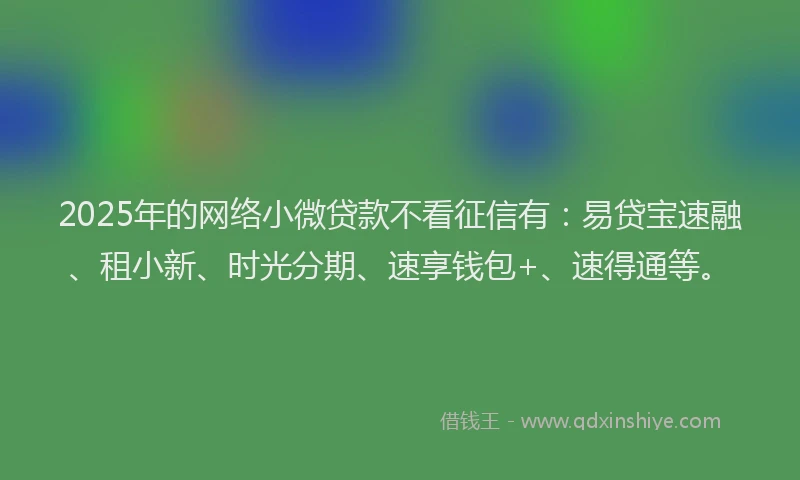 2025年的网络小微贷款不看征信有：易贷宝速融、租小新、时光分期、速享钱包+、速得通等。