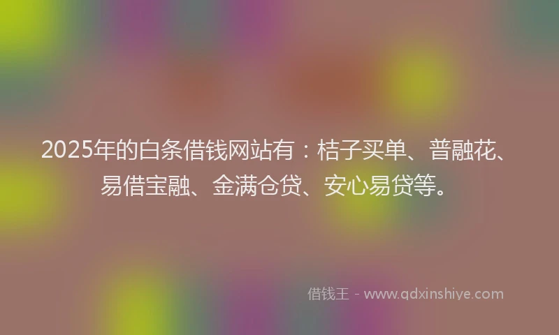 2025年的白条借钱网站有：桔子买单、普融花、易借宝融、金满仓贷、安心易贷等。
