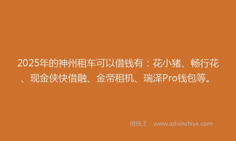 2025年的神州租车可以借钱有：花小猪、畅行花、现金侠快借融、金帝租机、瑞泽Pro钱包等。
