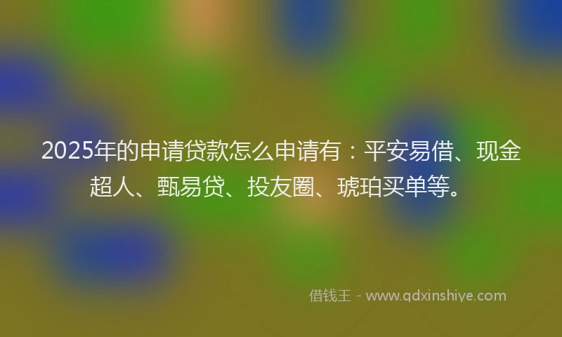 2025年的申请贷款怎么申请有：平安易借、现金超人、甄易贷、投友圈、琥珀买单等。