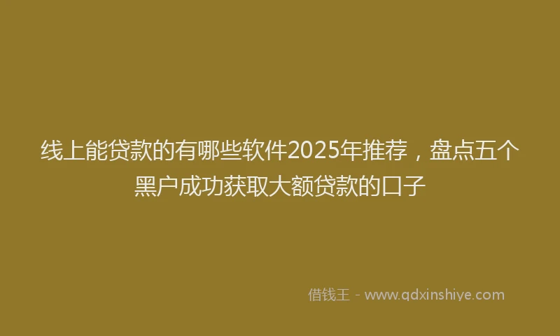 线上能贷款的有哪些软件2025年推荐，盘点五个黑户成功获取大额贷款的口子