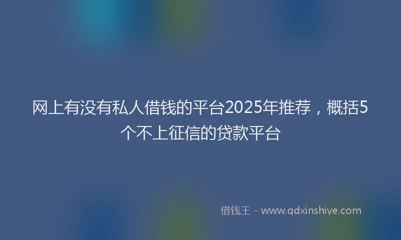 网上有没有私人借钱的平台2025年推荐，概括5个不上征信的贷款平台