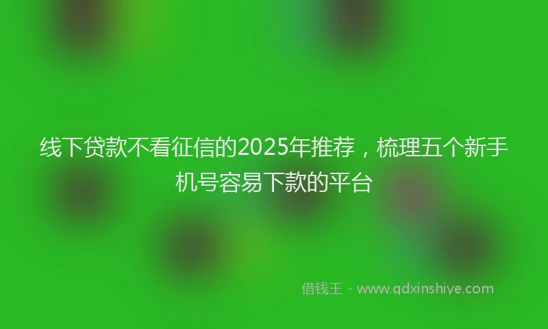 线下贷款不看征信的2025年推荐，梳理五个新手机号容易下款的平台