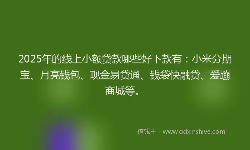 2025年的线上小额贷款哪些好下款有：小米分期宝、月亮钱包、现金易贷通、钱袋快融贷、爱蹦商城等。