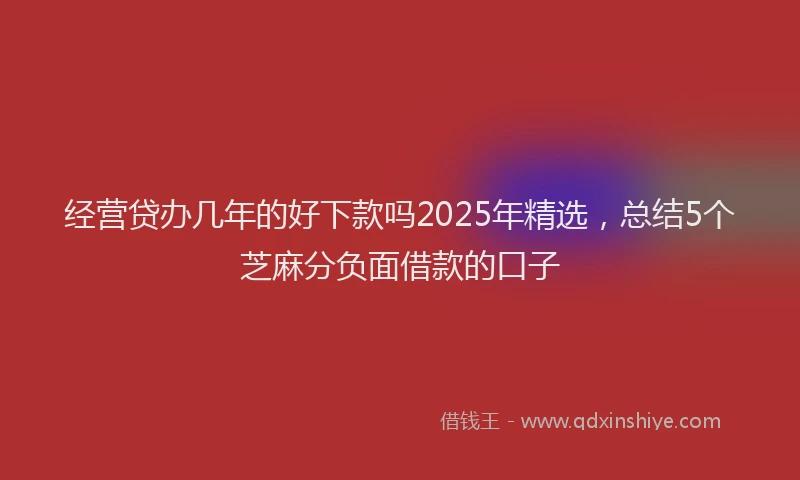 经营贷办几年的好下款吗2025年精选，总结5个芝麻分负面借款的口子