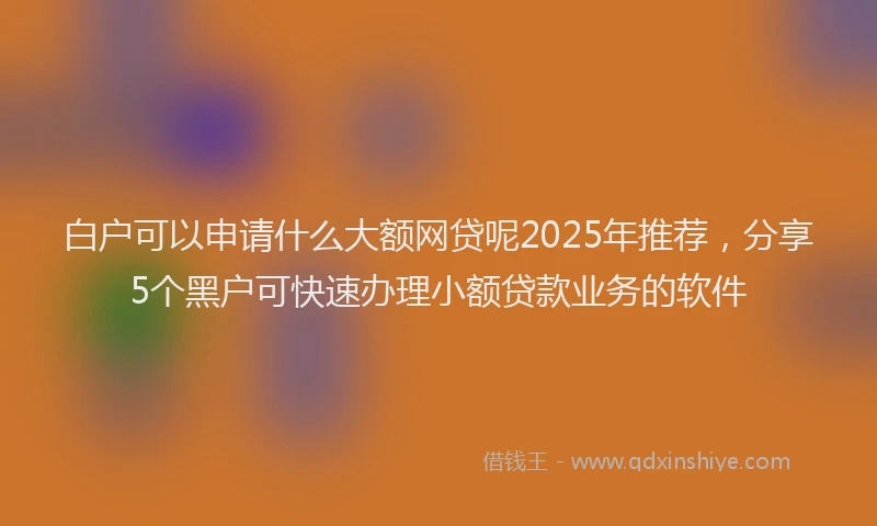 白户可以申请什么大额网贷呢2025年推荐，分享5个黑户可快速办理小额贷款业务的软件