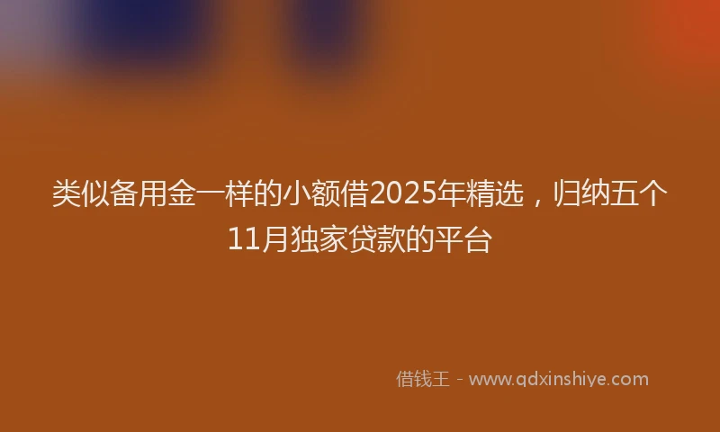 类似备用金一样的小额借2025年精选，归纳五个11月独家贷款的平台