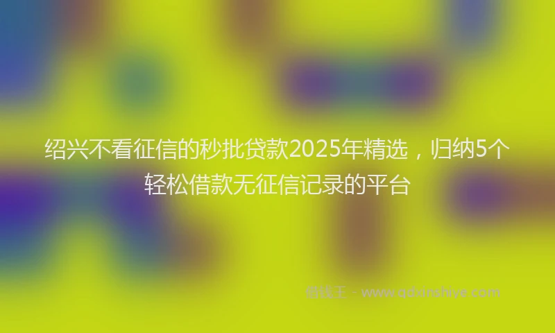 绍兴不看征信的秒批贷款2025年精选，归纳5个轻松借款无征信记录的平台