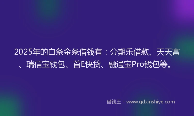 2025年的白条金条借钱有：分期乐借款、天天富、瑞信宝钱包、首E快贷、融通宝Pro钱包等。