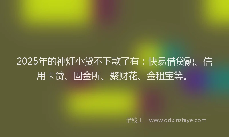 2025年的神灯小贷不下款了有：快易借贷融、信用卡贷、固金所、聚财花、金租宝等。