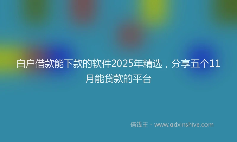 白户借款能下款的软件2025年精选，分享五个11月能贷款的平台