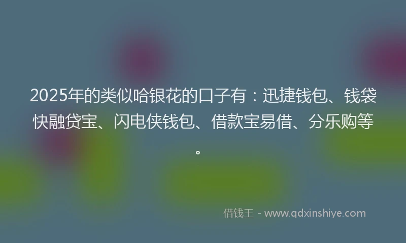 2025年的类似哈银花的口子有：迅捷钱包、钱袋快融贷宝、闪电侠钱包、借款宝易借、分乐购等。
